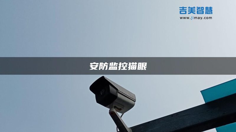 模拟监控与网络监控：工厂车间如何抉择**